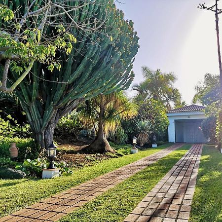 Nanou House Villa La Matanza De Acentejo Екстериор снимка