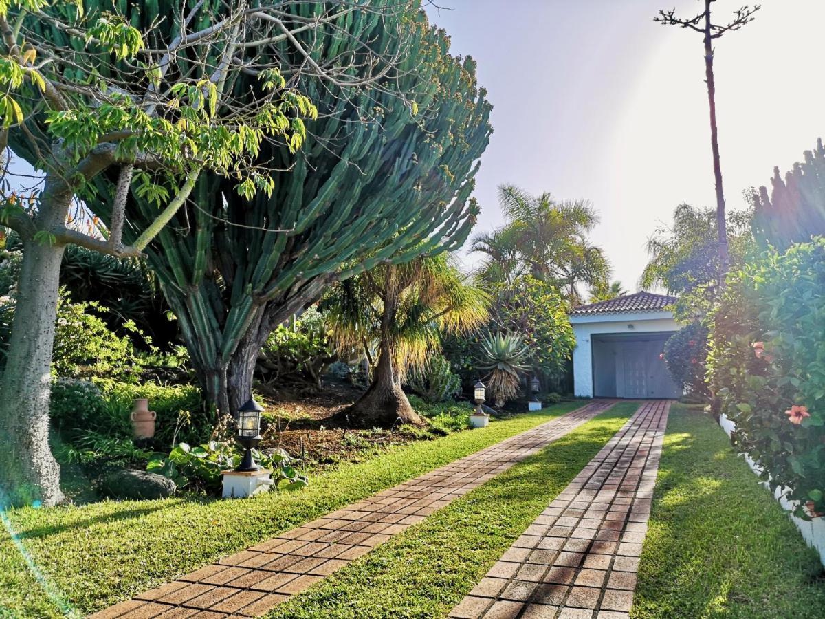 Nanou House Villa La Matanza De Acentejo Екстериор снимка