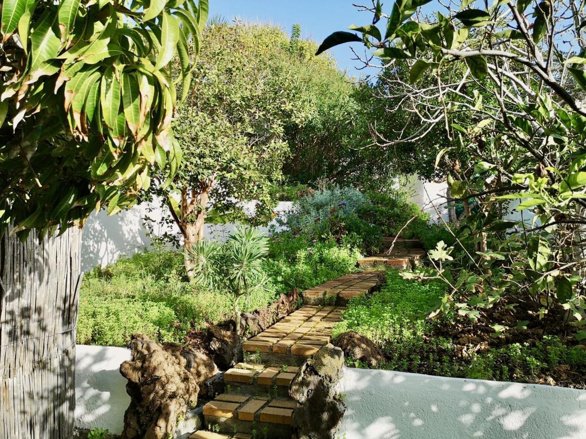 Nanou House Villa La Matanza De Acentejo Екстериор снимка