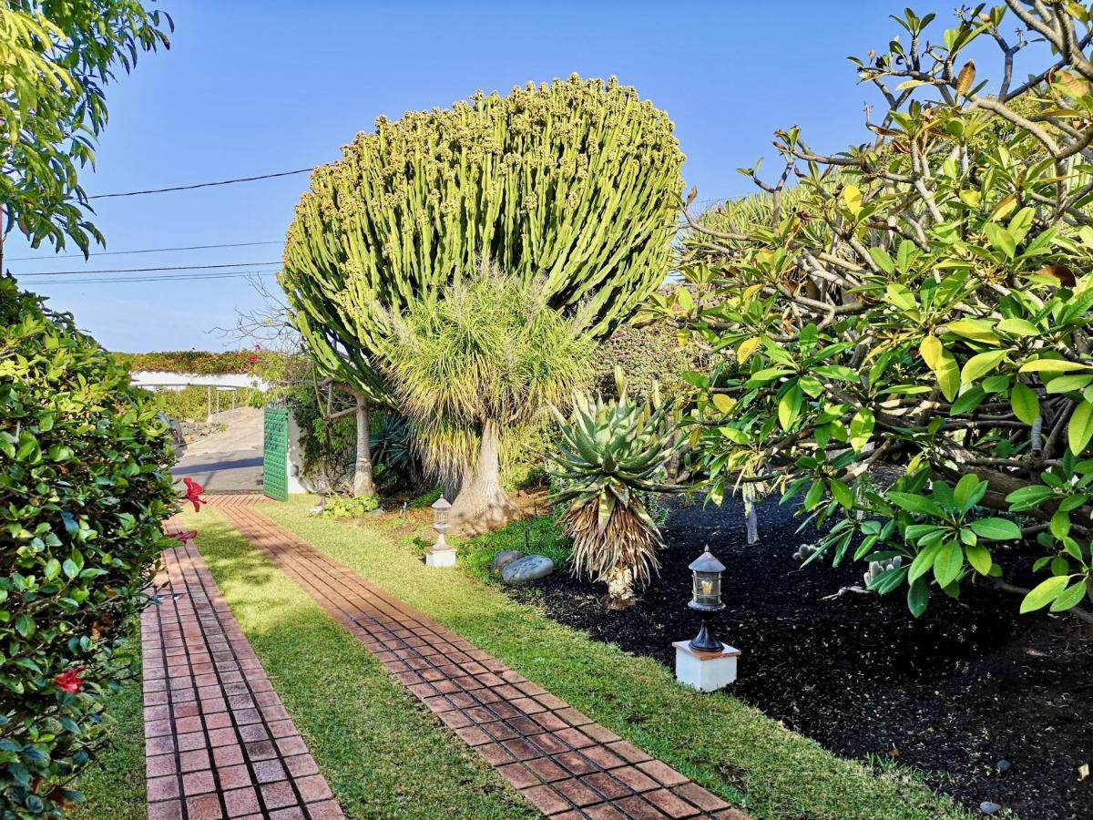 Nanou House Villa La Matanza De Acentejo Екстериор снимка