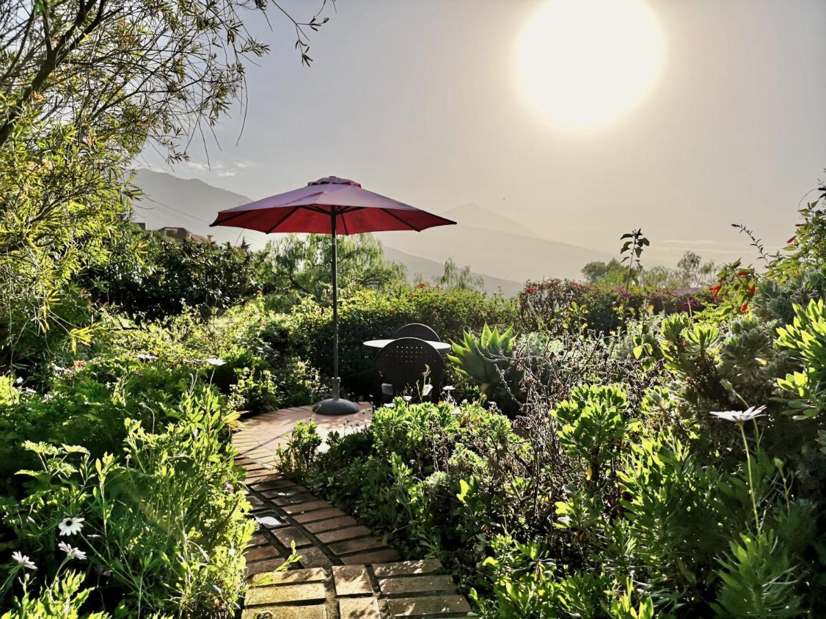 Nanou House Villa La Matanza De Acentejo Екстериор снимка
